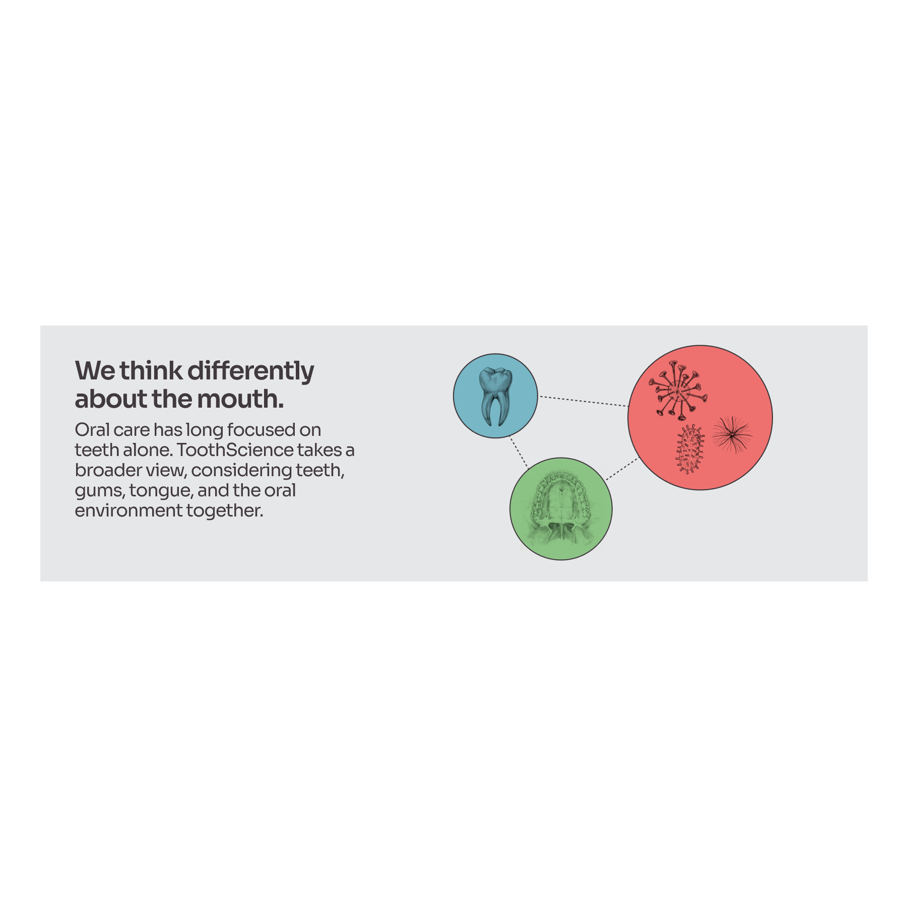 ToothScience project frame 11